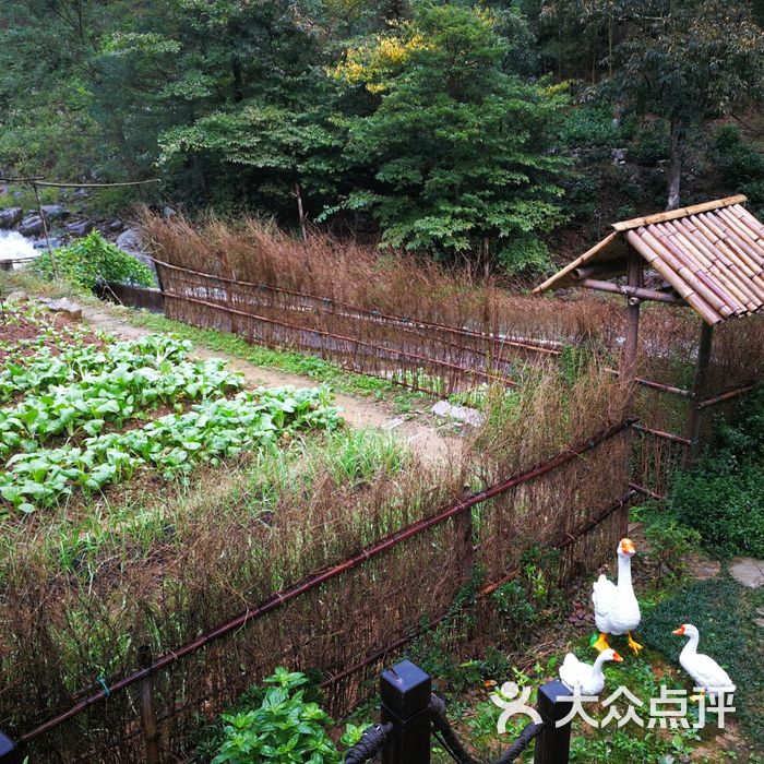 花千谷民宿