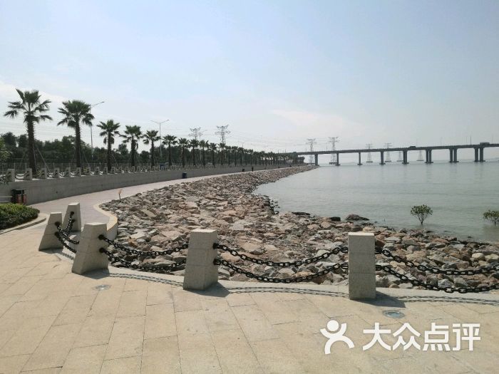 宝安西湾红树林湿地公园图片 - 第4张