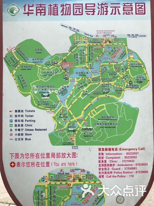 中国科学院华南植物园图片 - 第145张