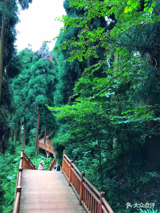 峨眉山七里坪森林栈道景区-图片-洪雅县周边游-大众