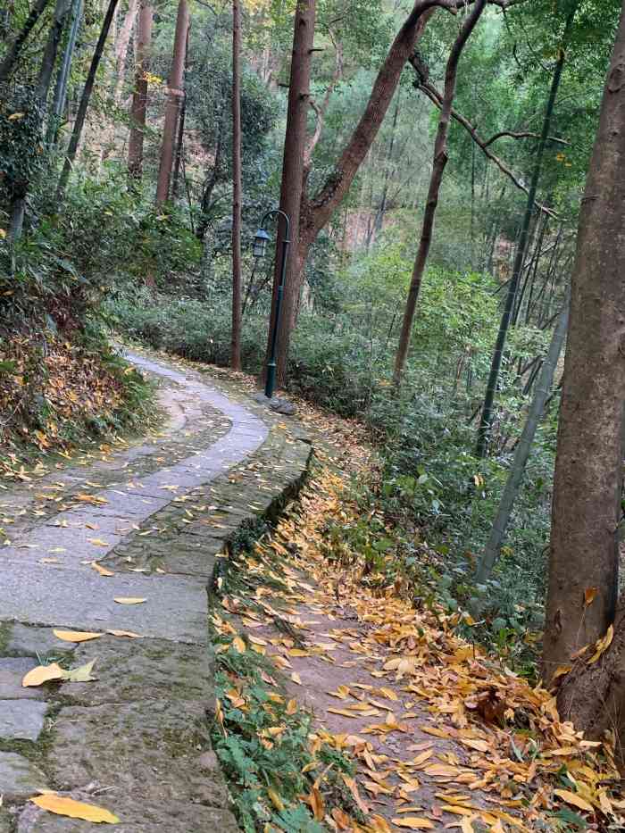栖霞岭-"这里是我再熟悉不过的一个地方了,这是老妈."-大众点评移动版