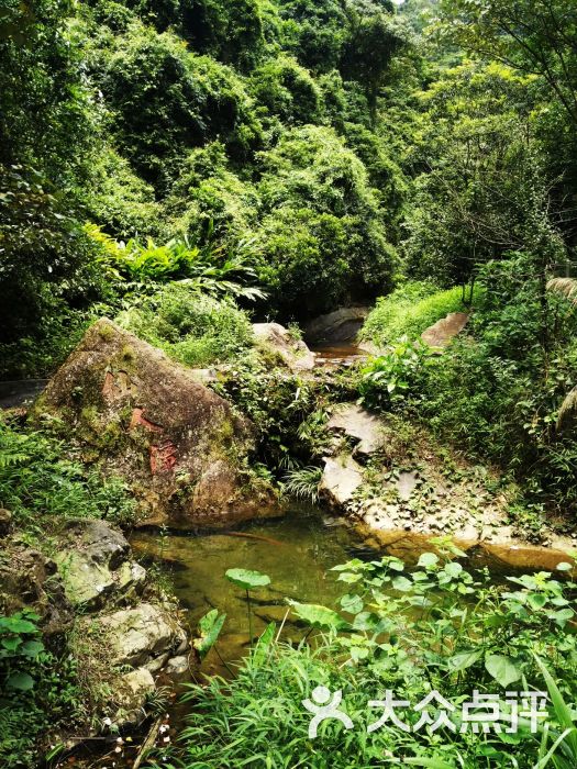 佛山三水九道谷漂流图片 - 第3张