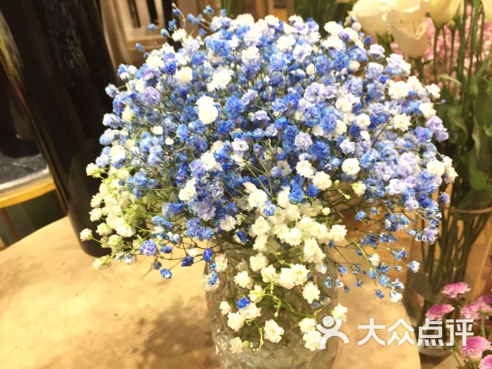 情书花店满天星图片 - 第4张