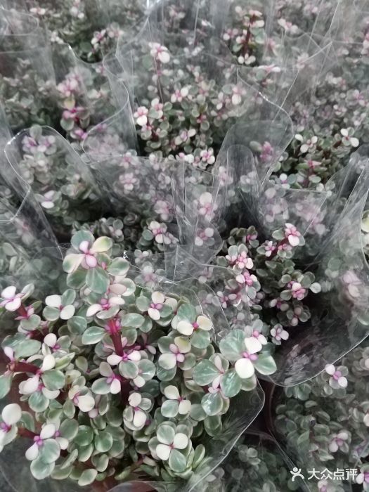 花乡新发地综合交易大楼