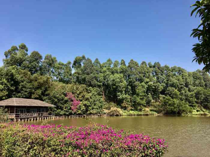 松山湖生态景区(松湖烟雨)