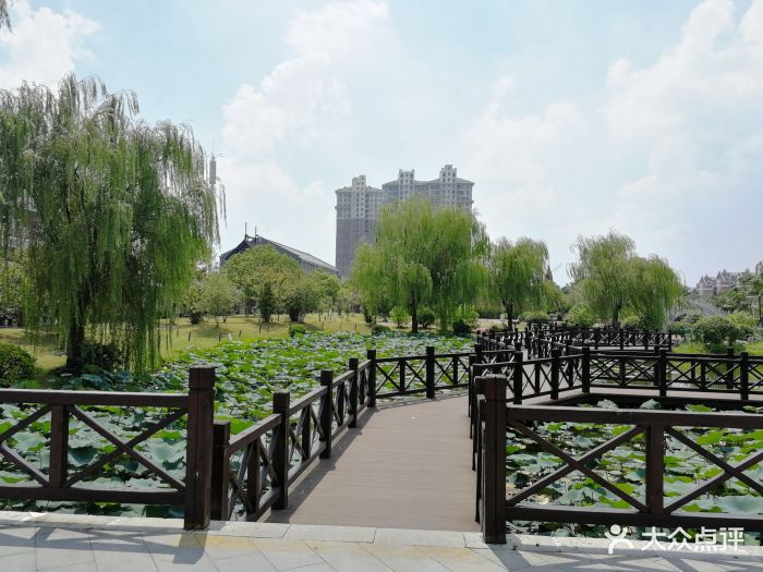 姜堰人民公园图片 - 第4张