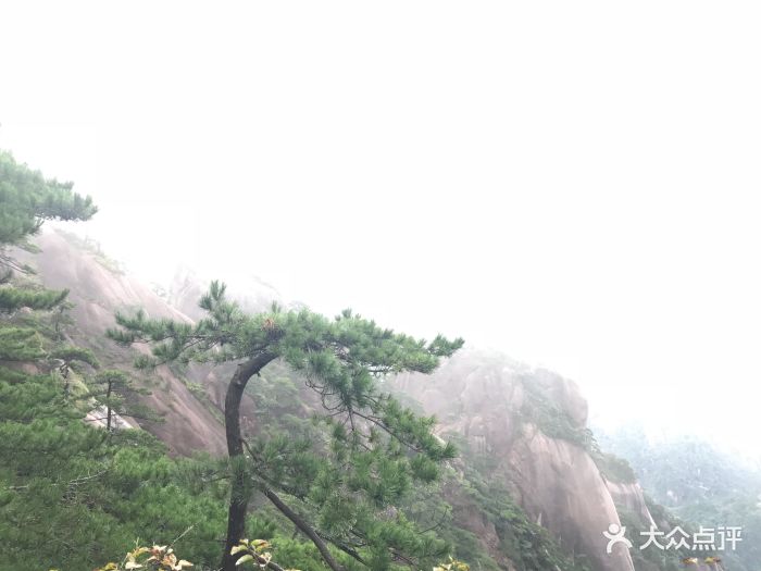 黄山玉屏楼宾馆图片 - 第25张