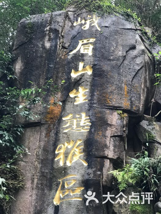 峨眉山景区-图片-峨眉山市周边游-大众点评网