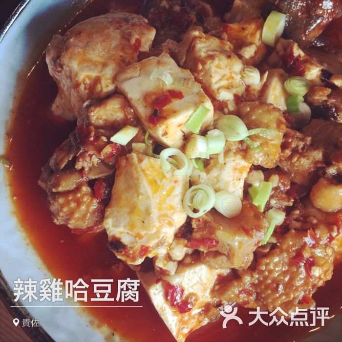 辣鸡哈豆腐