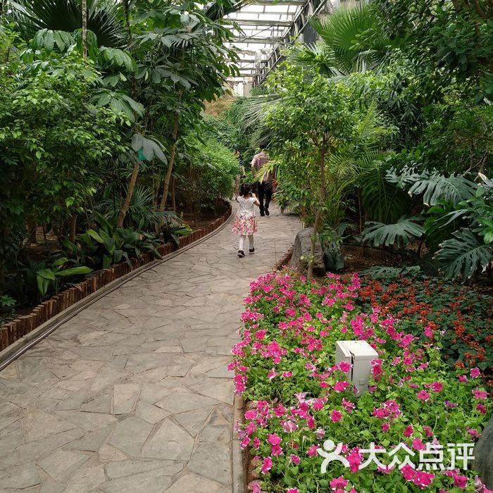 天津热带植物观光园