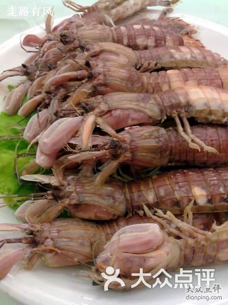 天天渔港(人民路店)-虾爬子-菜-虾爬子图片-大连美食