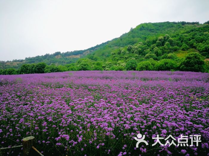 雪浪山生态园图片 第1张