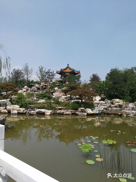 武清南湖绿博园图片