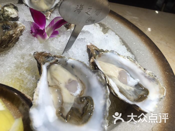 OYSTER Talks生蚝体验馆(马场路店)-图片