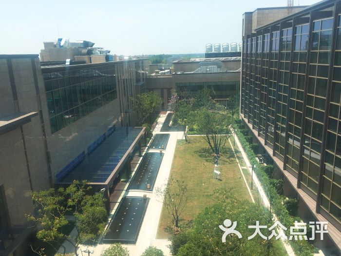 上海崇明由由喜来登酒店图片 第6张