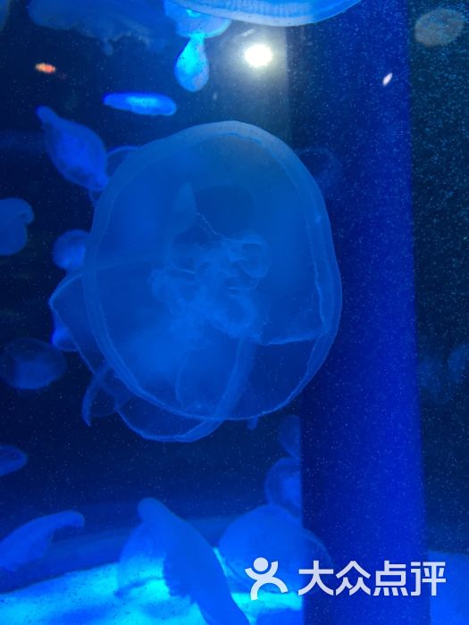 徐州水族展览馆图片 第3张