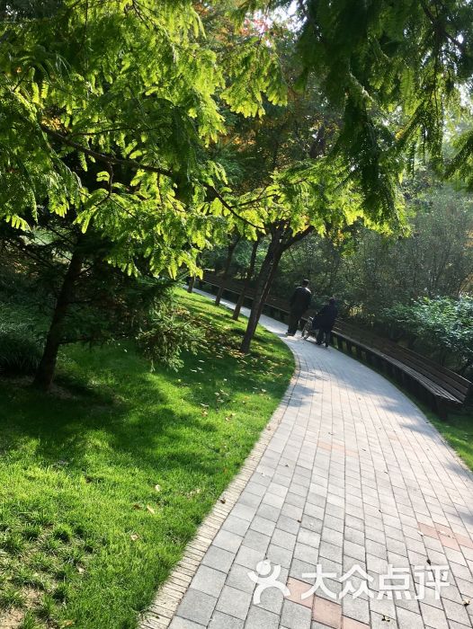 北极寺公园图片 - 第8张