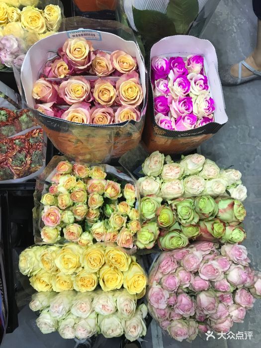 东风国际花卉市场图片 - 第48张