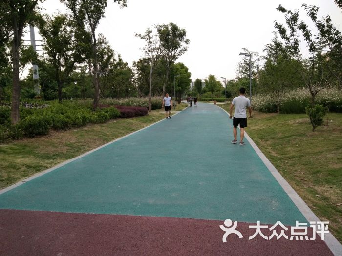 罗塘公园-图片-姜堰区周边游-大众点评网
