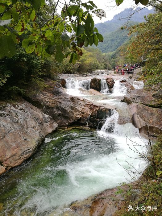 黄柏塬原生态风景区图片 - 第6张