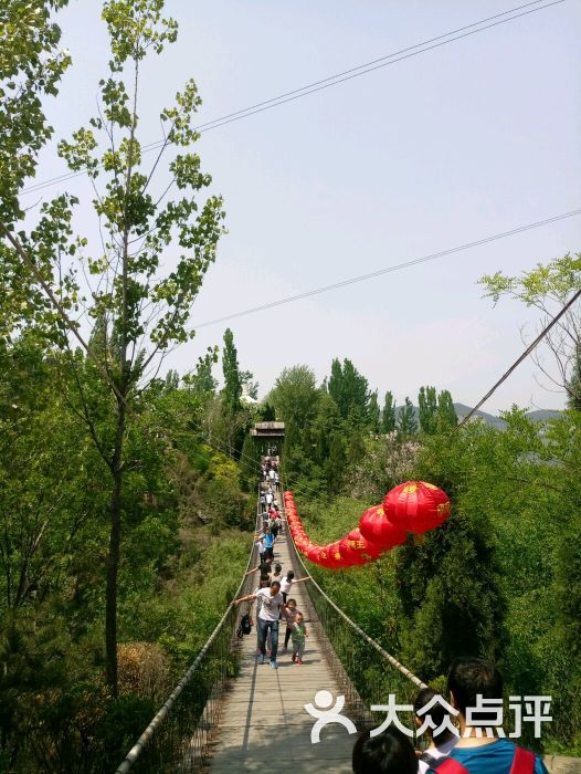 丫丫一点都不野上传的图片