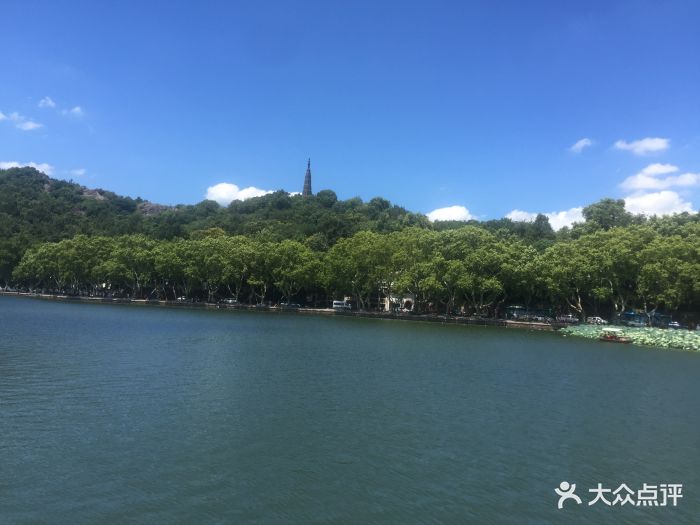 西湖游船三潭印月花港观鱼码头图片 第39张