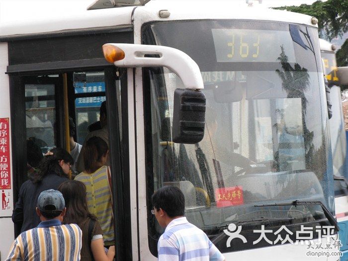 公交车(363路)-图片-青岛生活服务-大众点评网