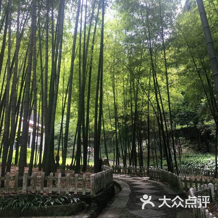 庐山美庐山庄