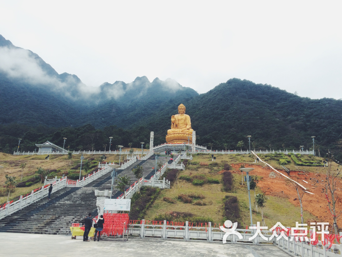 莲花山森林公园图片 - 第52张