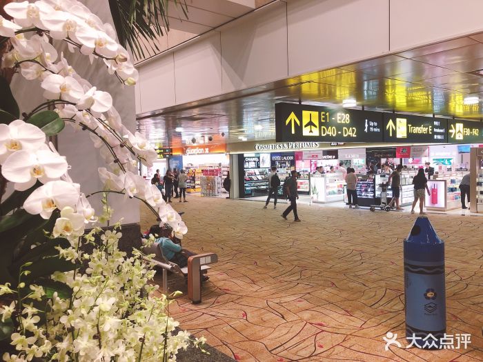 新加坡机场真的超大的,从t3走到t2走了都好.-