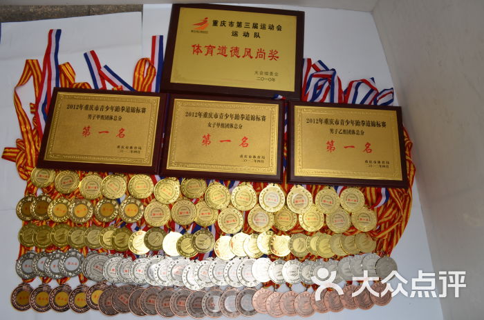 大型赛事获得奖杯奖牌