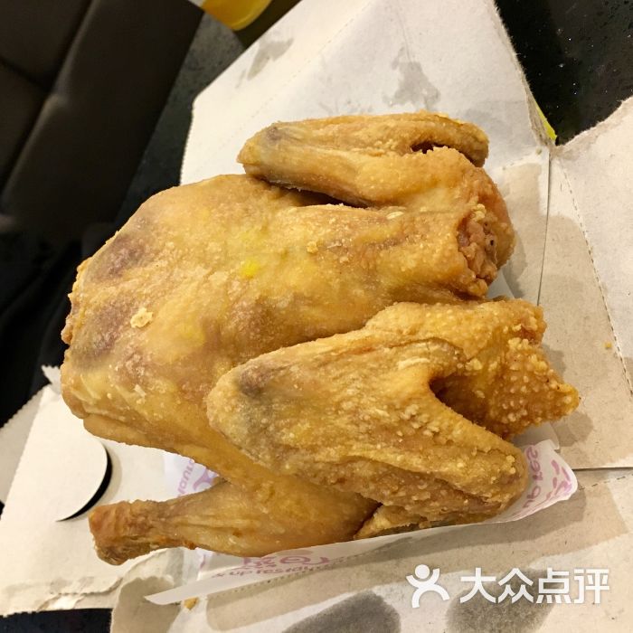 多美丽金牌童子鸡图片 第25张