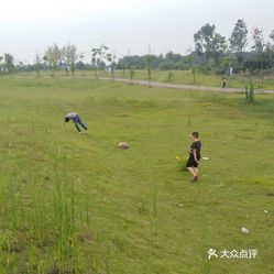 崇州市羊马镇常住人口_崇州市羊马新城规划图(2)