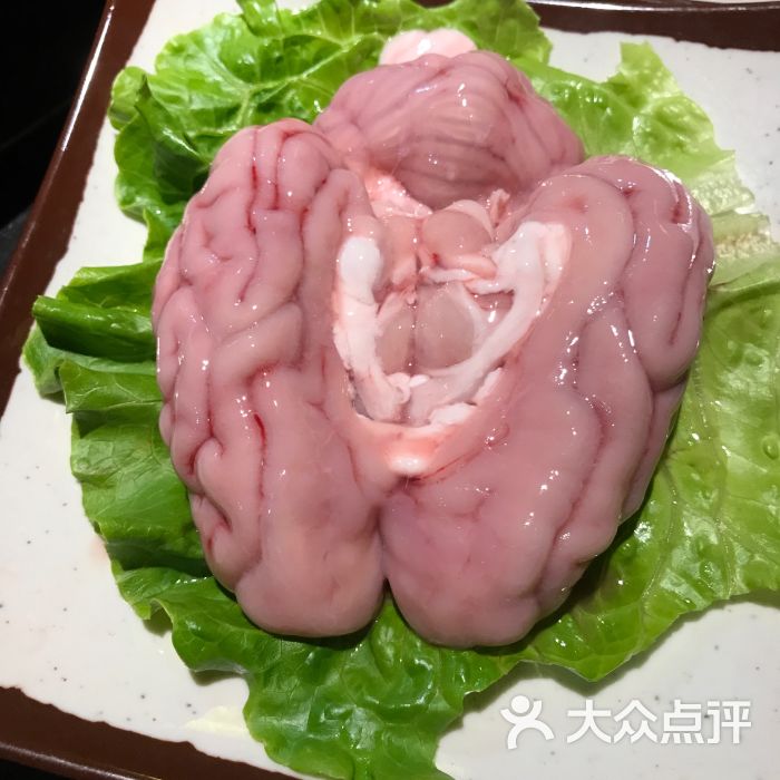 猪脑