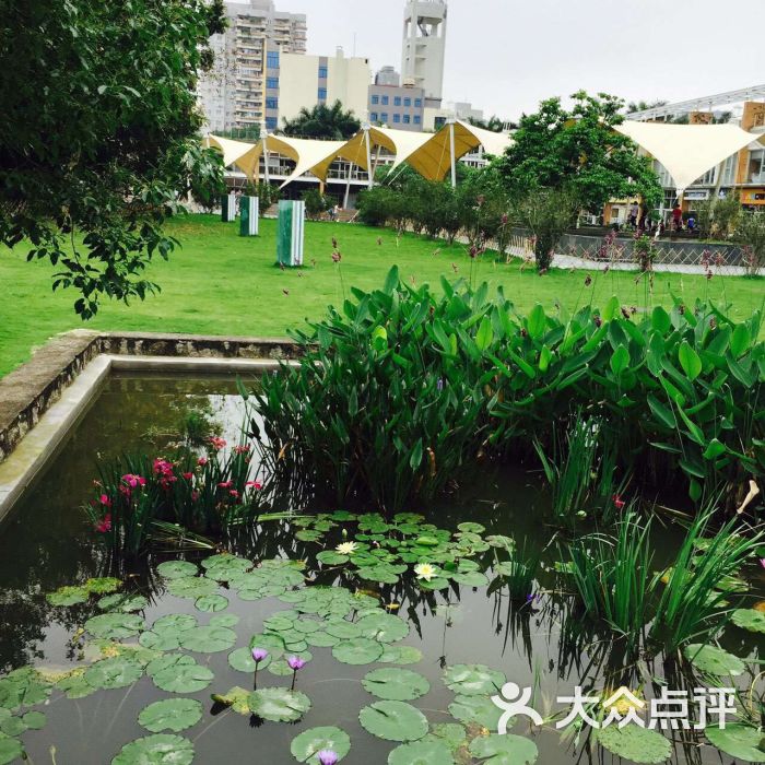 华侨城生态广场图片 - 第42张