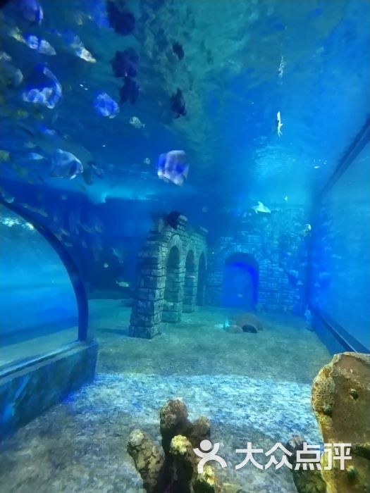 苏州乐园海底世界图片 - 第2张