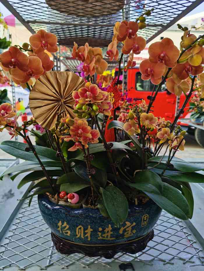 广州花卉博览园(龙溪大道店)-"特别喜欢逛花市,今天又