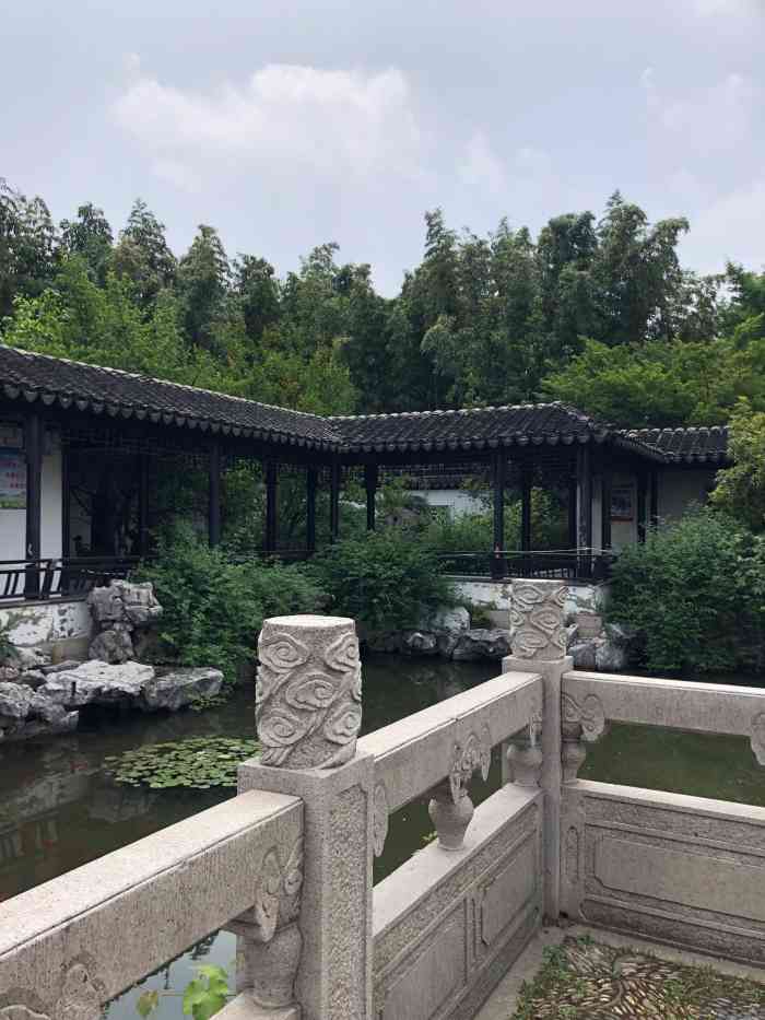 桐泾公园-"老同事相聚订在公园的茶室.桐泾公园好久没.