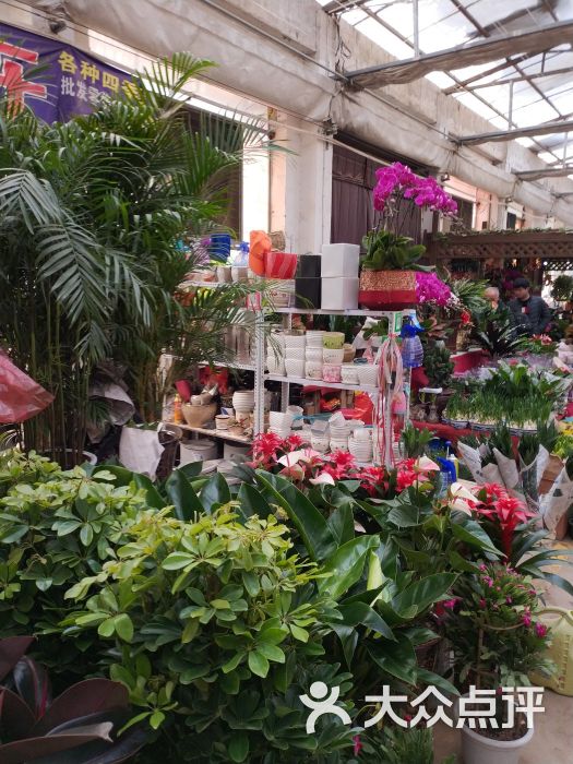 大明宫花卉市场-图片-西安购物-大众点评网