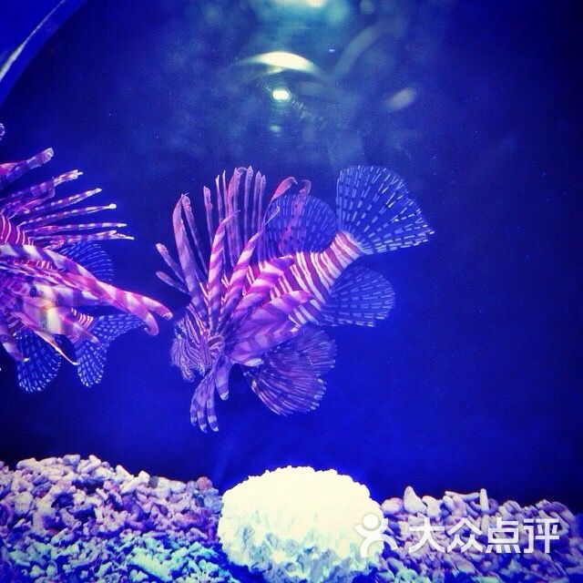 抚顺皇家极地海洋馆