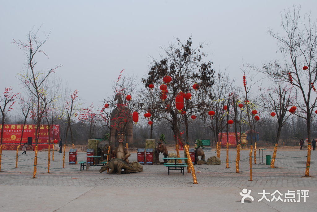 金鹭鸵鸟园-庙会主会场边图片-郑州周边游-大众点评网