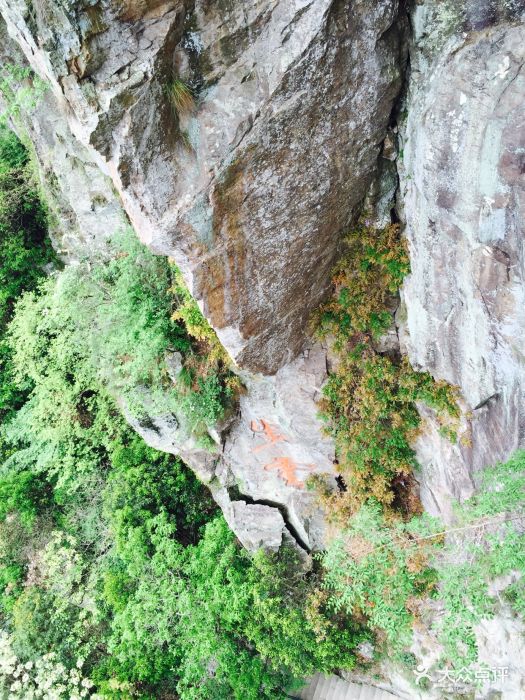 徐凫岩玻璃栈道景区-溪口徐凫岩图片-奉化周边游-大众点评网
