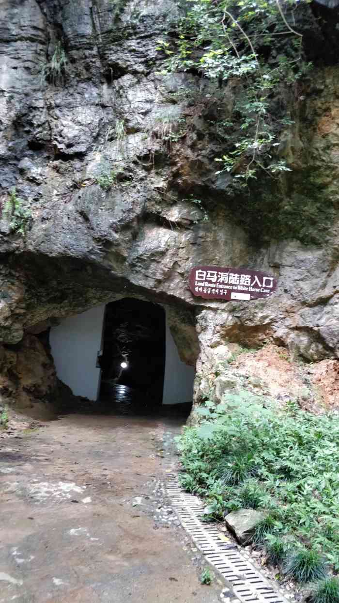 白马洞景区-桃花园-"交通前一天晚上就住在白马洞对面