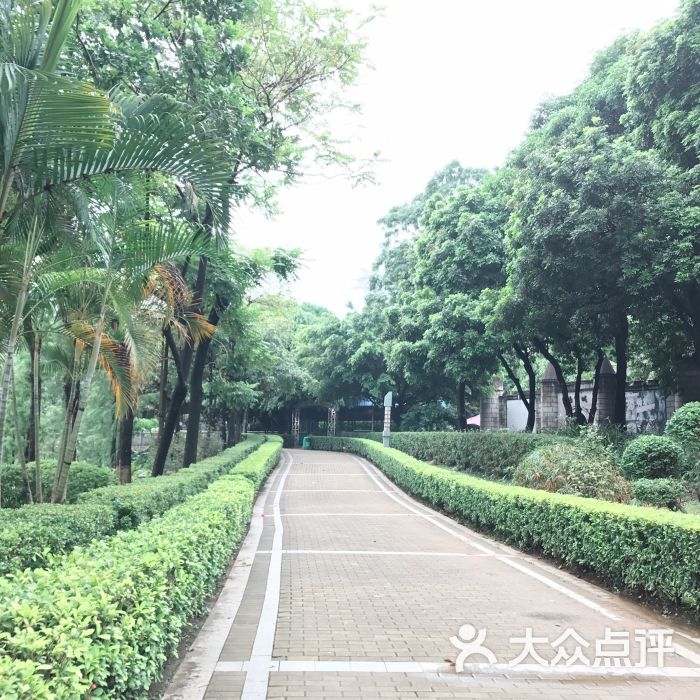 大旺公园图片 - 第2张