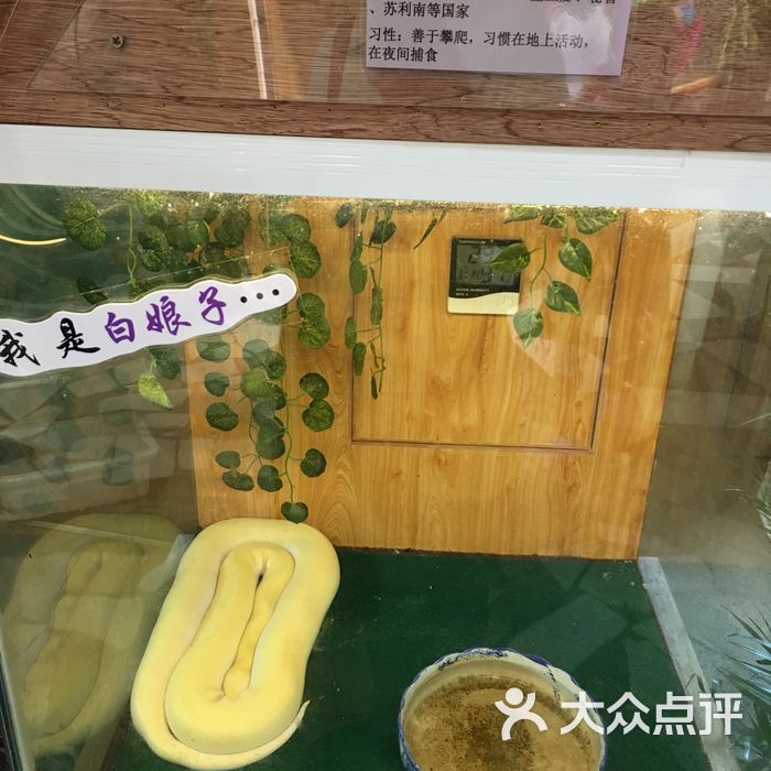 笔架山爬行馆