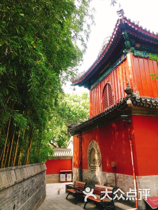 敕建大觉禅寺-图片-北京周边游-大众点评网