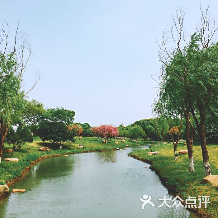 盛泽湖月季园