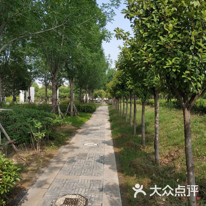 尚岗杨遗址公园
