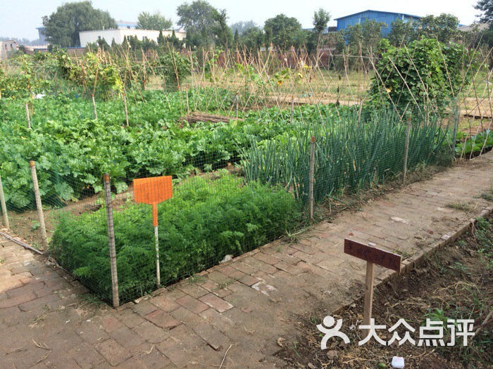 南苑小镇农场个人租地图片 - 第8张