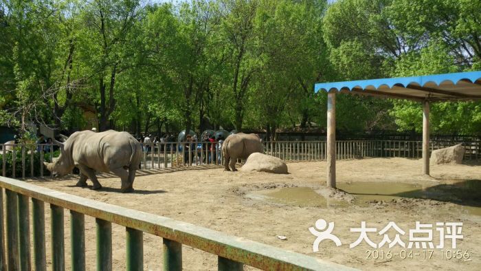 天津动物园图片 第2023张